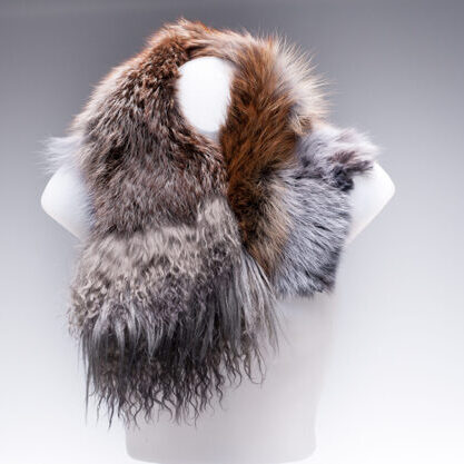 Asymmetrischer Rotfuchsschal