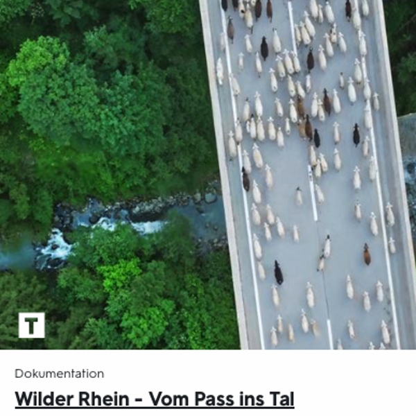 Titelbild Kleintierzüchter