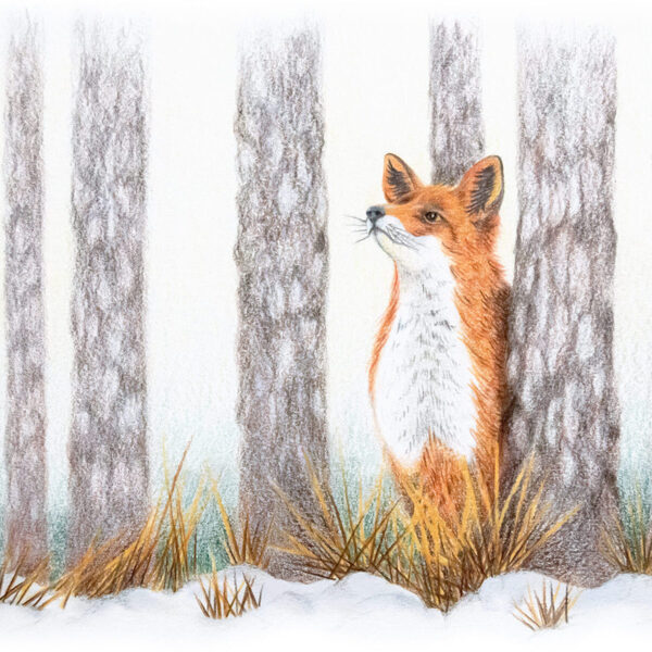 Cover Kleintierzüchter