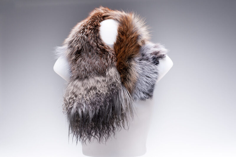 Asymmetrischer Rotfuchsschal