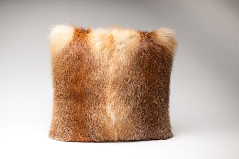 Rotfuchskissen Natur